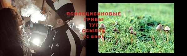 синтетический гашиш Нефтекумск