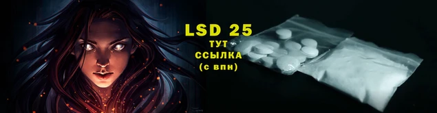 первитин Нея