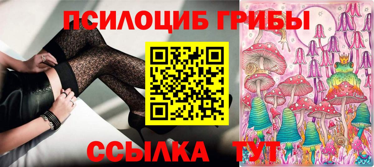 Псилоцибиновые грибы GOLDEN TEACHER Миллерово