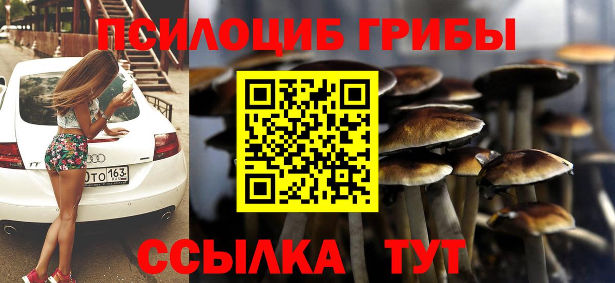 Галлюциногенные грибы Psilocybine cubensis  Вход с VPN  что такое   Миллерово 