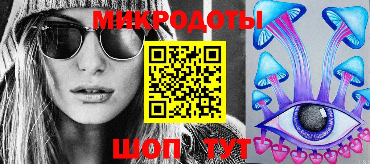 Псилоцибиновые грибы Psilocybe Миллерово