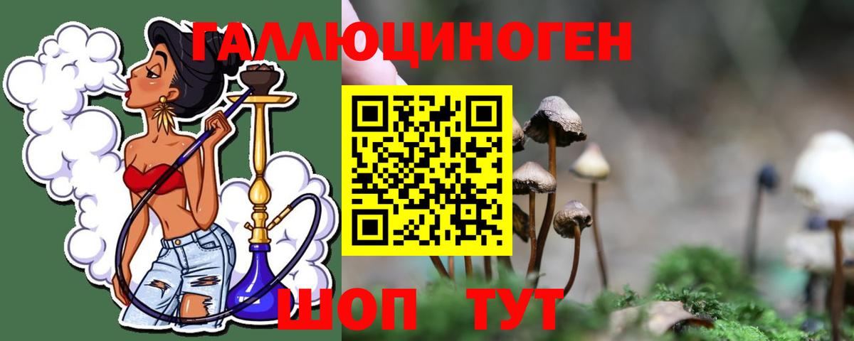 Галлюциногенные грибы Psilocybe  Миллерово 